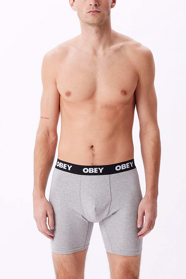 Established Work 2 Pack Boxer |  Ash Grey - Thumbnail Image Number 2 of 3