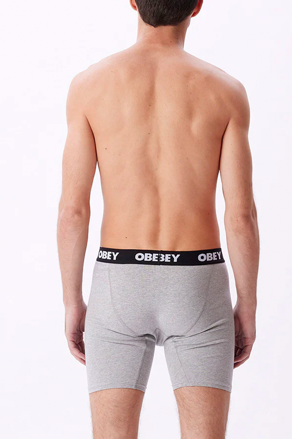 Established Work 2 Pack Boxer |  Ash Grey - Visual Media Number 3 of 3