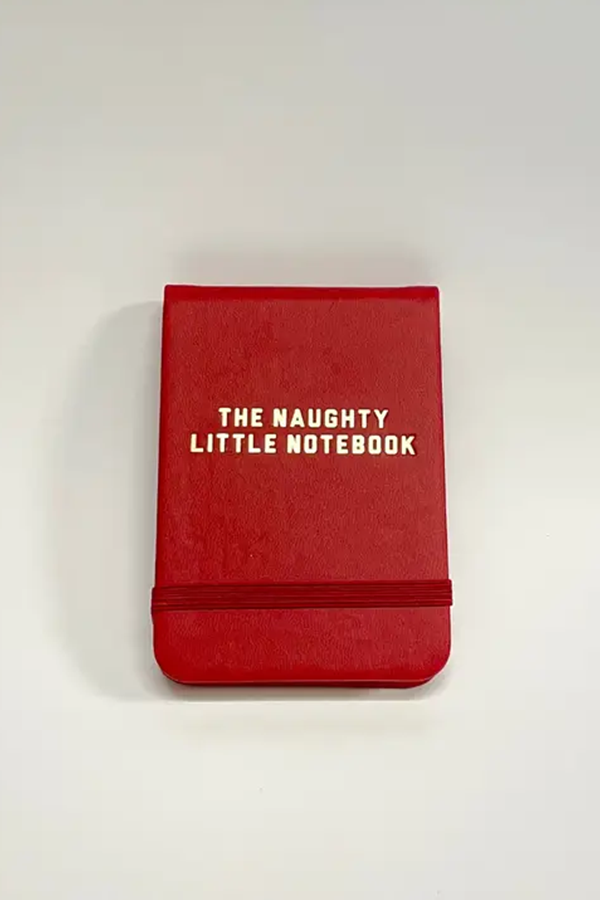 The Naughty Little Notebook Leatherette Pocket Journal - Visual Media Number 1 of 1