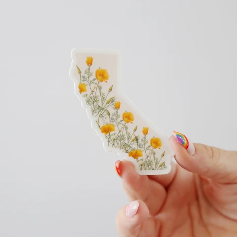 California Poppies Sticker - Visual Media Number 1 of 1