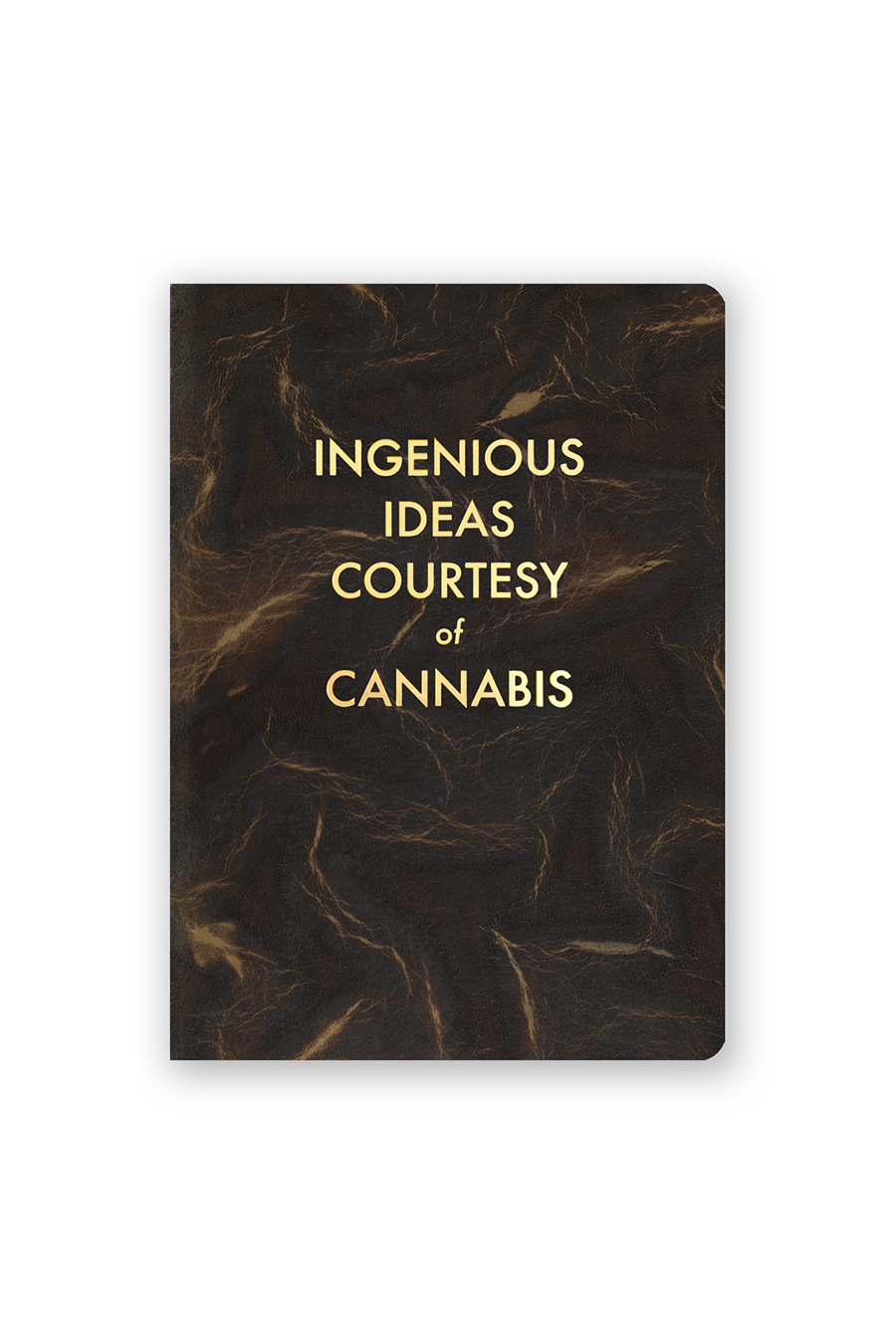 Ingenious Ideas Journal | Medium - Visual Media Number 1 of 1