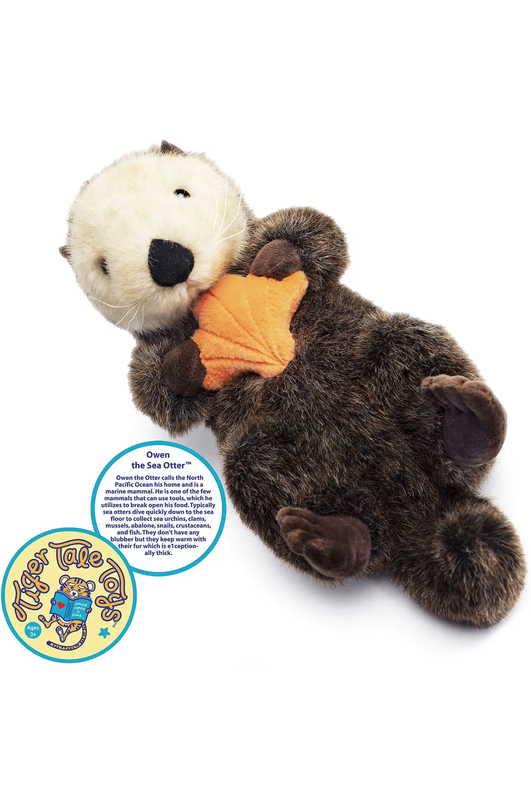 Owen the Sea Otter | 13 Inch Stuffed Animal Plush - Visual Media Number 4 of 4