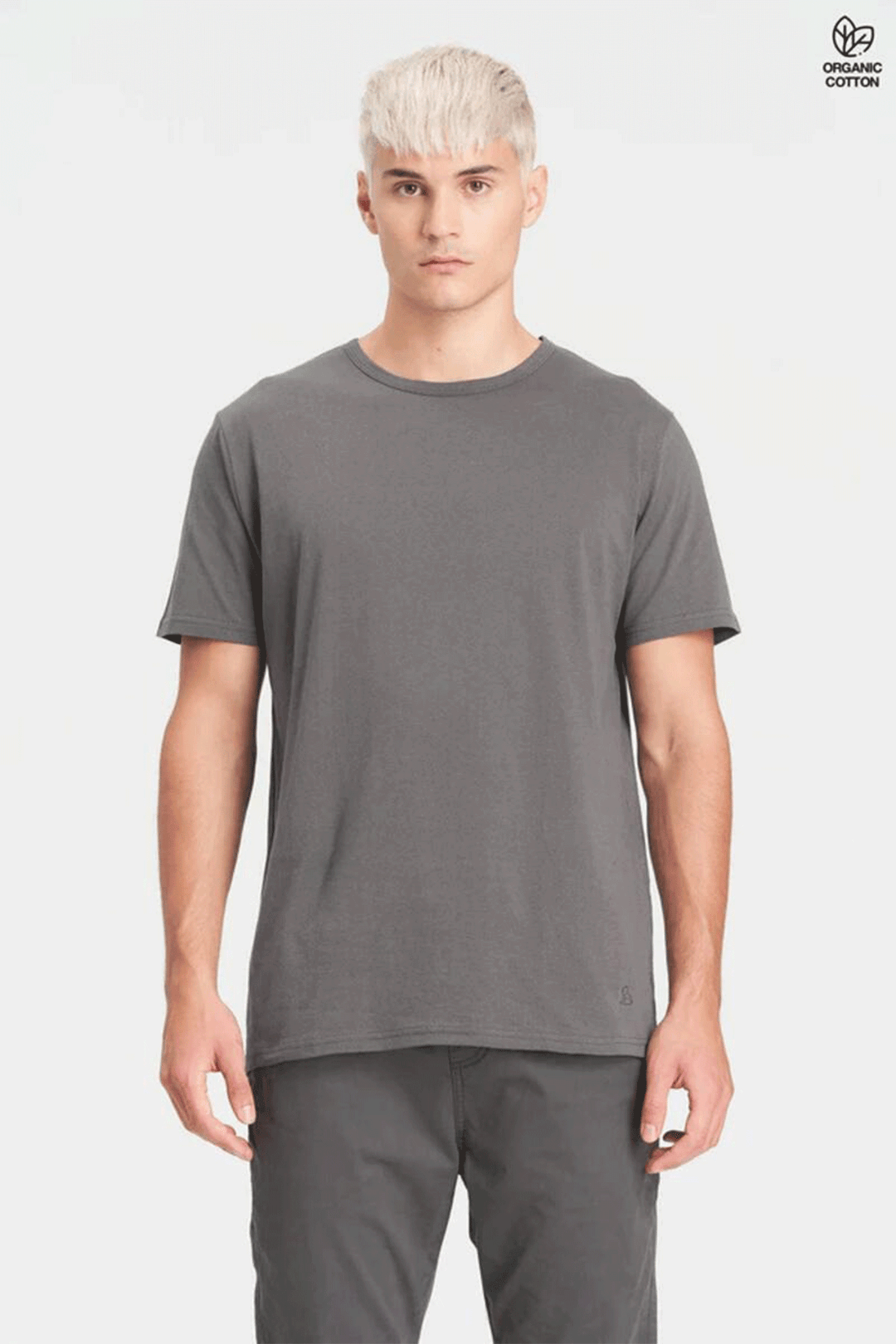 Organic Standard Tee | Stone Grey - Visual Media Number 1 of 2