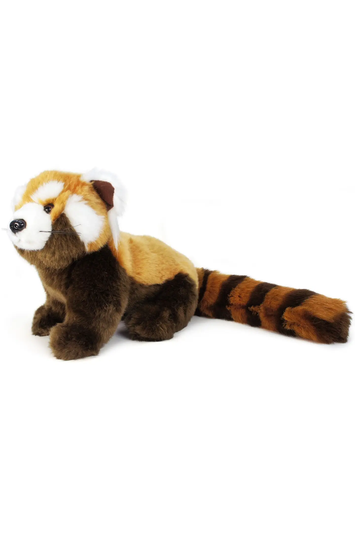 Raja the Red Panda | 13 Inch Stuffed Animal Plush - Thumbnail Image Number 4 of 4
