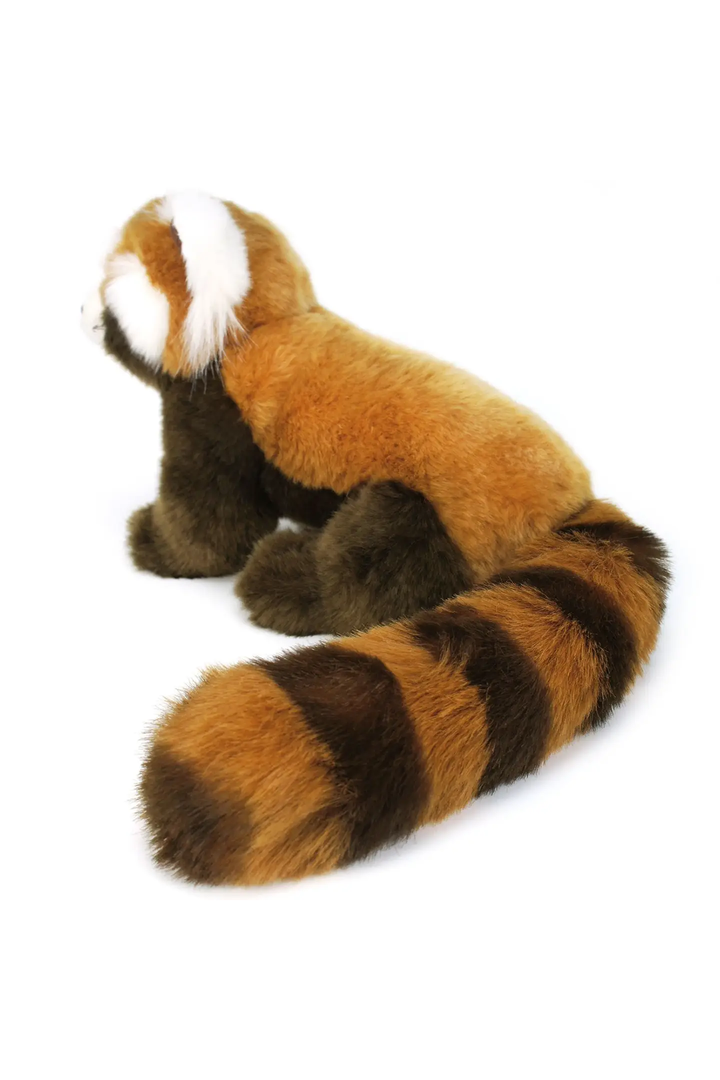 Raja the Red Panda | 13 Inch Stuffed Animal Plush - Thumbnail Image Number 2 of 4

