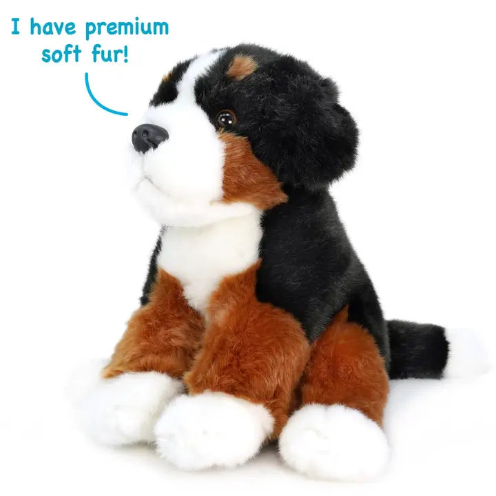 Bastien The Bernese Mountain Dog | 13 Inch Stuffed Animal - Thumbnail Image Number 2 of 3
