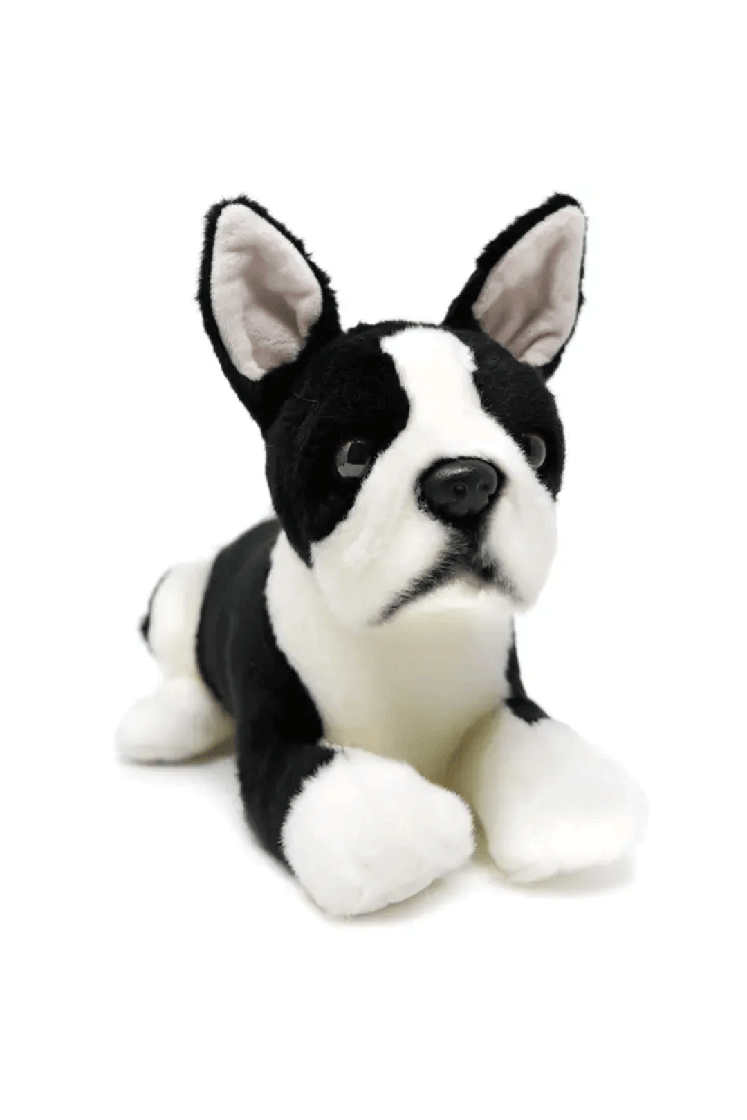Baxter the Boston Terrier | 13 Inch Stuffed Animal Plush - Visual Media Number 1 of 2