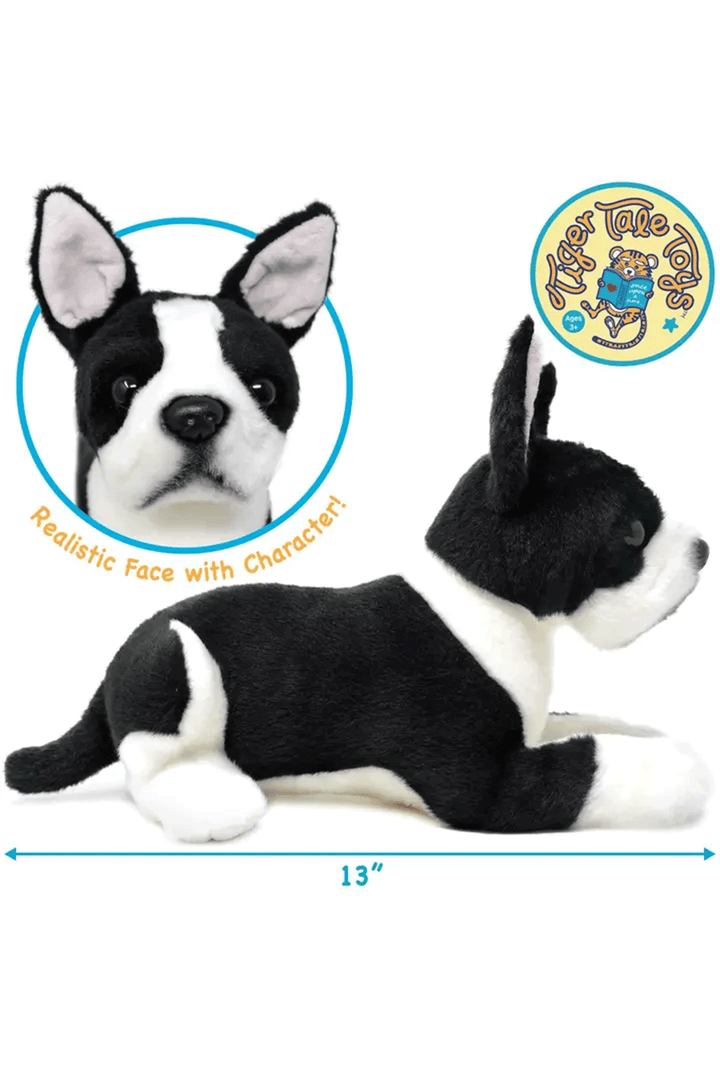 Baxter the Boston Terrier | 13 Inch Stuffed Animal Plush - Thumbnail Image Number 2 of 2
