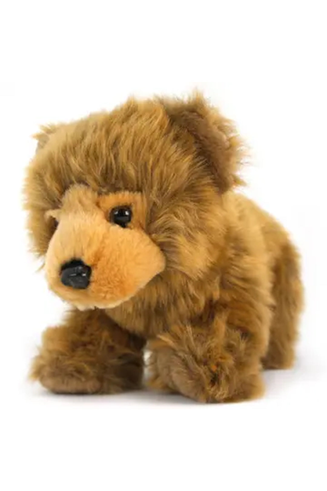 Borya the Baby Grizzly Bear | 10 Inch Stuffed Animal Plush - Visual Media Number 1 of 1