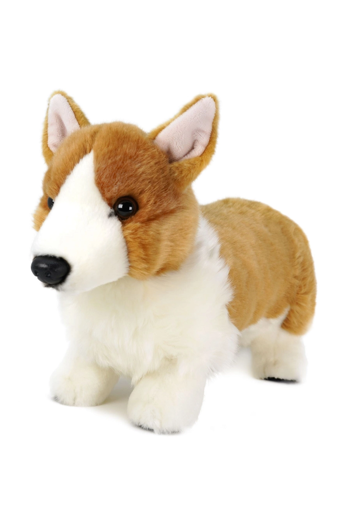 Carlotta the Corgi | 14 Inch Stuffed Animal Plush - Thumbnail Image Number 1 of 4

