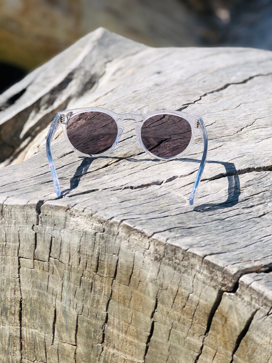 Gaviota Sunglasses | Crystal - Visual Media Number 4 of 4
