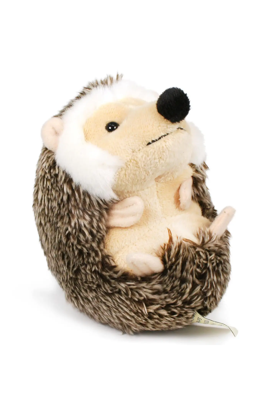 Helena the Hedgehog | 6 Inch Stuffed Animal Plush - Visual Media Number 1 of 4