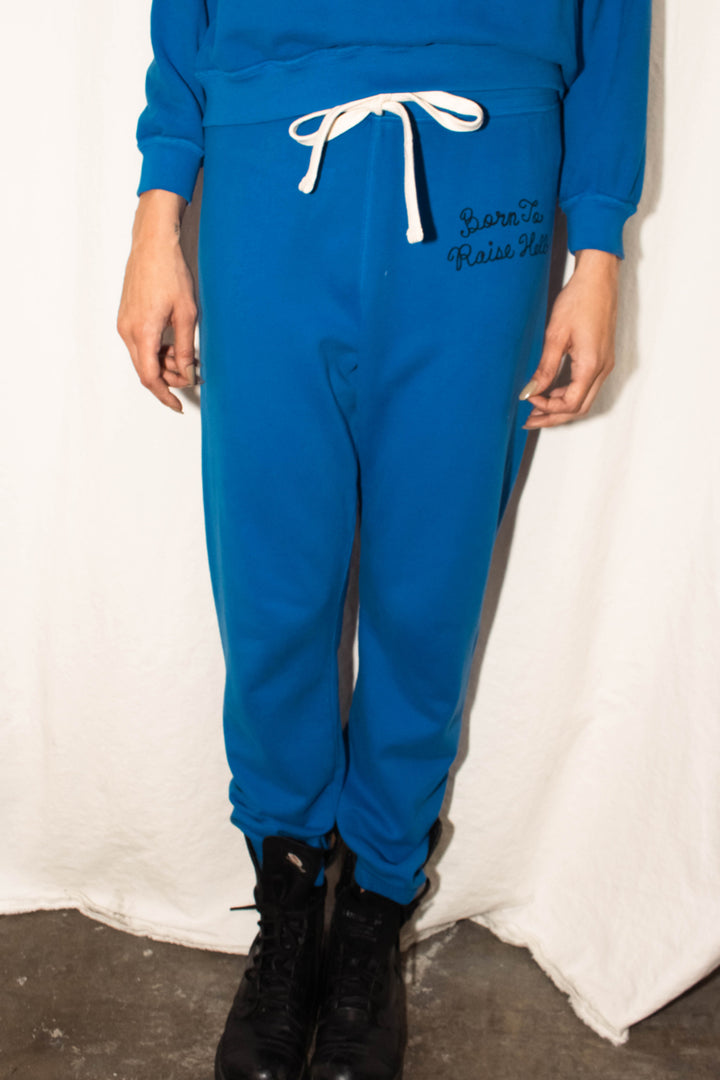 Born to Raise Hell Pullover Pants | Cobalt - Thumbnail Image Number 2 of 2
