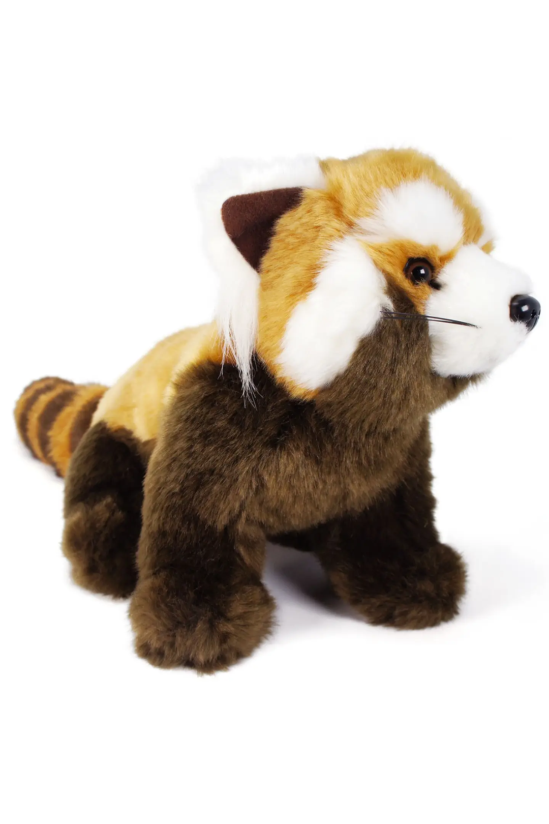 Raja the Red Panda | 13 Inch Stuffed Animal Plush - Visual Media Number 3 of 4