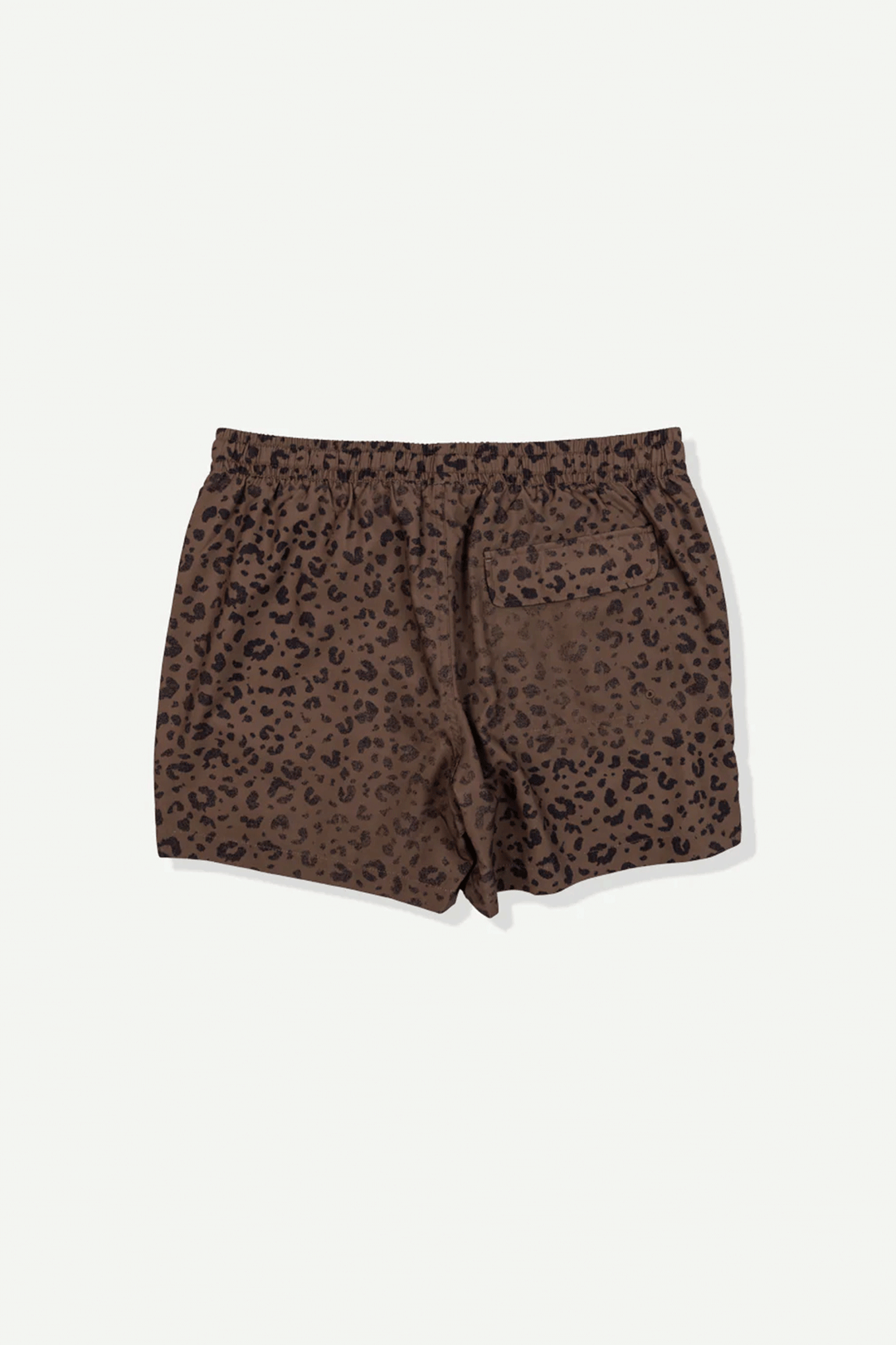 Club Swim Short | Leopard - Visual Media Number 3 of 3