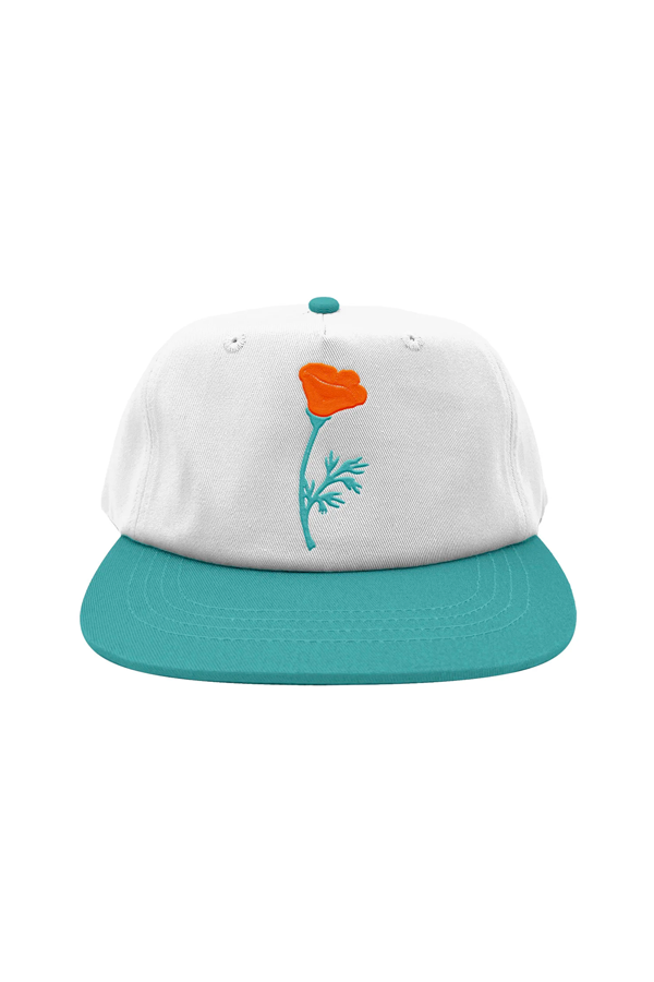 Poppy Two Tone Snapback - Main Image Number 1 of 2